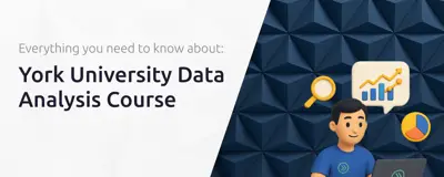 York University Data Analysis Course: Everything You Need to Know